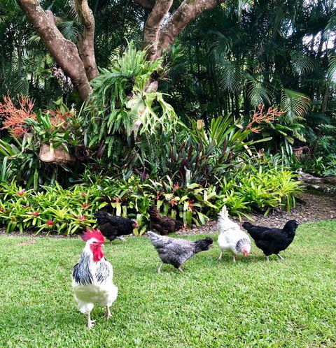 Eden Rest - Accommodation Resorts 3