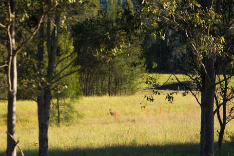 Windsors Edge Cottage Rothbury - Accommodation Resorts 2