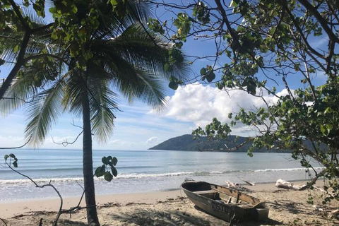 Daintree Rainforest Beach House - Accommodation Resorts 4