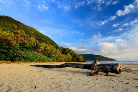 Daintree Rainforest Beach House - Accommodation Resorts 7