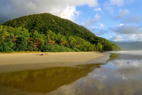 Daintree Rainforest Beach House - Accommodation Resorts 5