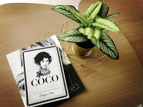 ILK Apartments South Yarra - Accommodation Resorts 2