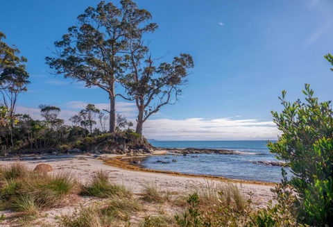 Adventure Bay Holiday Home - Accommodation Resorts 3