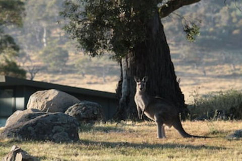 Ecocrackenback 2 Sustainable Chalet Close To The Slopes. - Accommodation Resorts 0