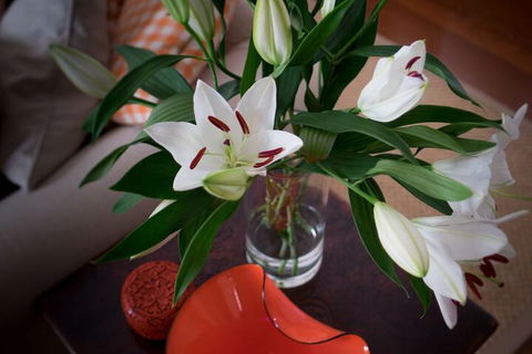 The Kinninmont House - Accommodation Resorts 4