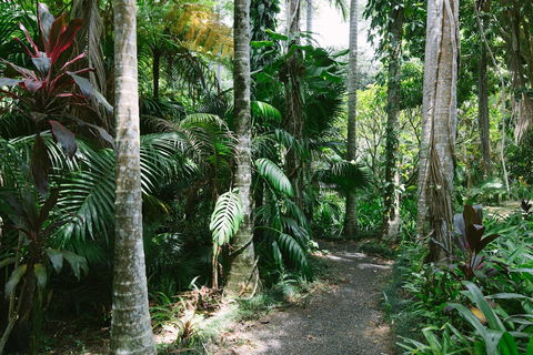 Sanctuary In The Pocket - Accommodation Resorts 3