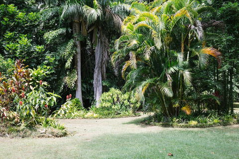 Sanctuary In The Pocket - Accommodation Resorts 0