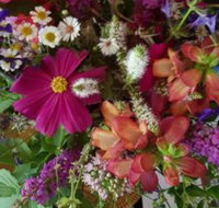 Ahvenbloem Park Winganna - Accommodation Resorts