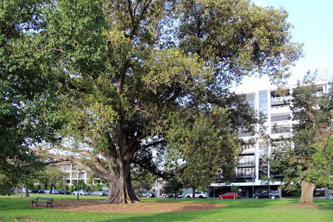 Adelaide Central Apartment - 3BR, 2Bath & Carpark - Accommodation Resorts 1