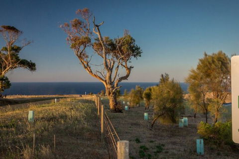Fleurieu Coastal Retreat Lot 150 Myponga Beach Road - Accommodation Resorts 2