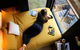 Compass Hut - thumb 6