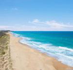 Jimmys Shout Pet Friendly - Accommodation Resorts