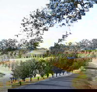 voco Kirkton Park Hunter Valley  an IHG Hotel - Accommodation Resorts