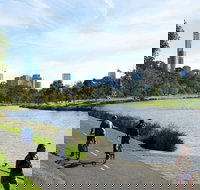 Amity Apartment Hotels