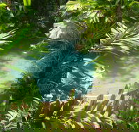 Palm Cove Tropic Apartments - Accommodation Resorts