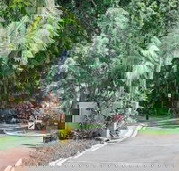 Oasis at Palm Cove - Accommodation Resorts