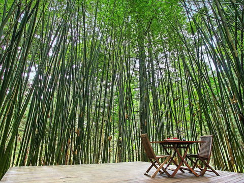 Azabu Boutique Accommodation Byron Bay - Accommodation Resorts 0