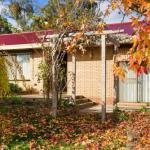 The Greenery - Accommodation Resorts 0