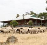 Gilgraves Vineyard Farmstay - Accommodation Resorts