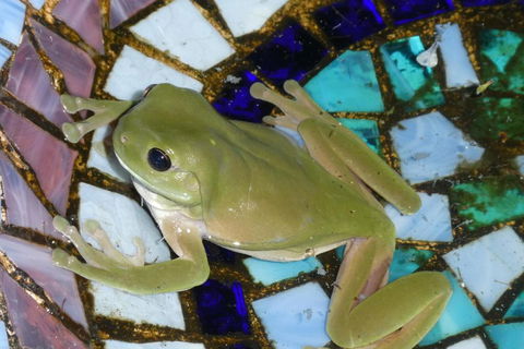 Kookaburra Cottage At Uralba Eco Cottages - Accommodation Resorts 4