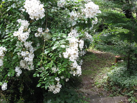 RiverCottage Selfcontained - Accommodation Resorts 4