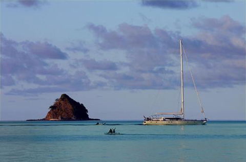 LANDSCAPE At PALM COVE - Accommodation Resorts 5