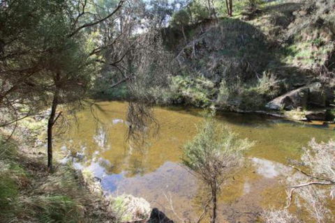 Alpine Streamside - Accommodation Resorts 3