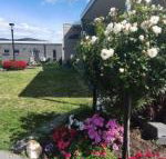 Velika - Accommodation Resorts