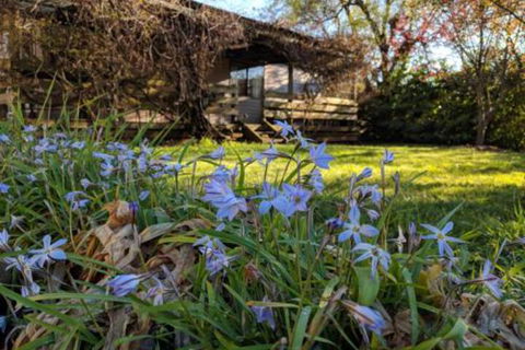Alexander Cottage - Accommodation Resorts 3