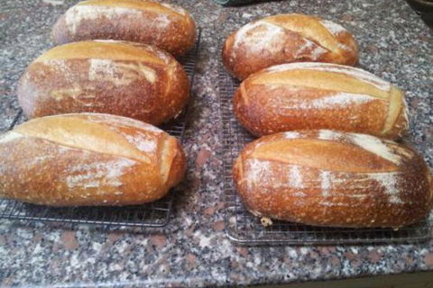 Appin Homestay B & B - Accommodation Resorts 6