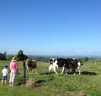 MilaViews - Accommodation Resorts