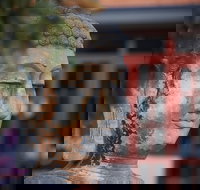 Pagoda Resort  Spa - Accommodation Resorts