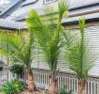 One Thornbury Boutique B  B - Accommodation Resorts