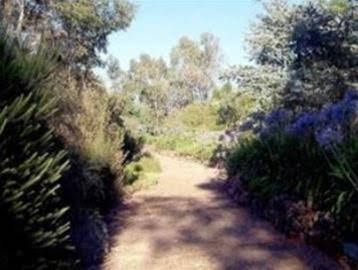 Cockatoo Valley SA Accommodation Resorts