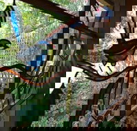 Bright Highland Valley Cottages - Accommodation Resorts