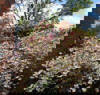 Merrimeet Cottages - Accommodation Resorts