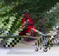 NRMA Bright Holiday Park - Accommodation Resorts