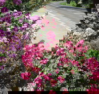 Gatekeepers Traditional Bed  Breakfast - Accommodation Resorts