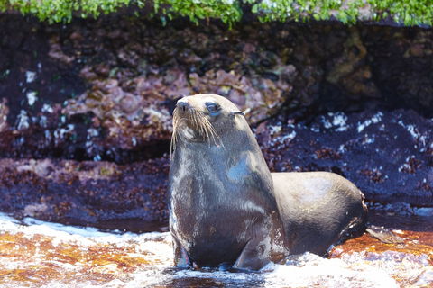 Rottnest Island Authority - Accommodation Resorts 5