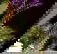 At Eleven - Accommodation Resorts