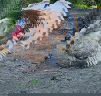 Halls Haven Holiday Units - Accommodation Resorts