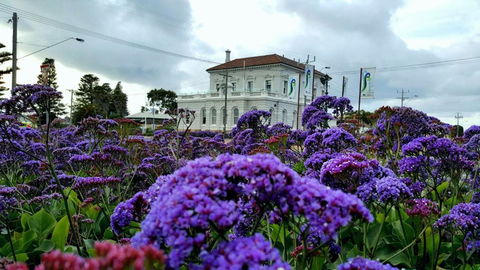 Georgia - Accommodation Resorts 3