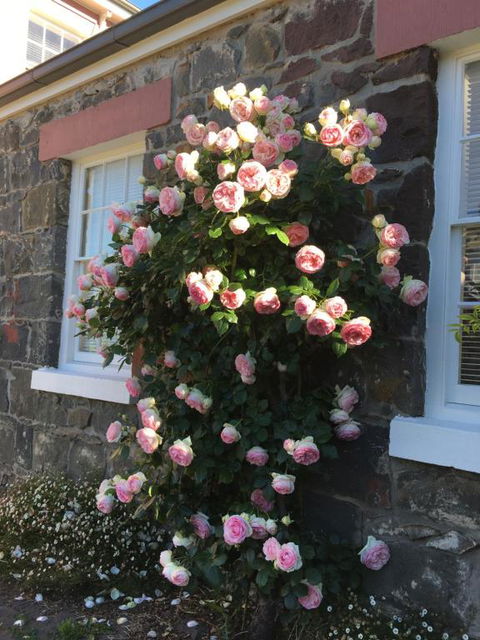 Georgia - Accommodation Resorts 6