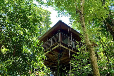 Cairns Rainforest Retreat - Accommodation Resorts 0