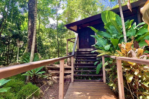 Cairns Rainforest Retreat - Accommodation Resorts 1