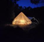 Glamping at Zeehan Bush Camp - Accommodation Resorts