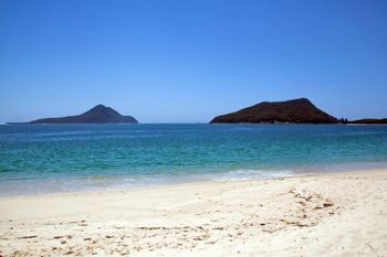 Radburn Unit 2 17 Ondine Close - Accommodation Resorts 4