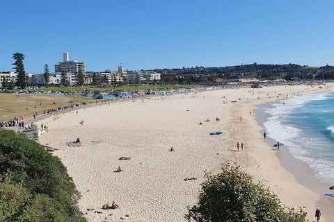 Incredible Location 2 Bedroom Bondi Beach Apartment - Accommodation Resorts 1