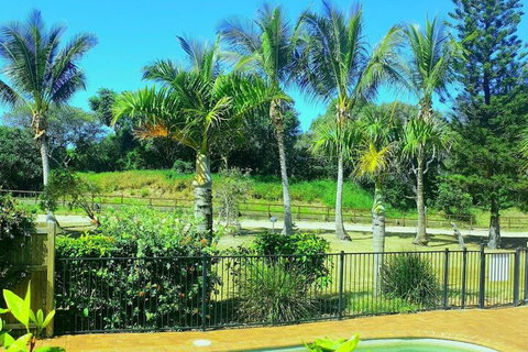 Sailfish On Fraser - Accommodation Resorts 3