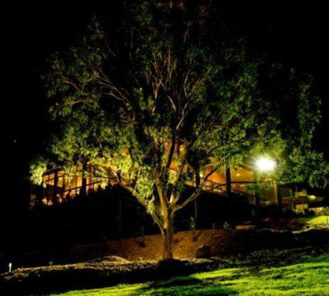 Oceanview Estate Vineyard Cottages - Accommodation Resorts 4